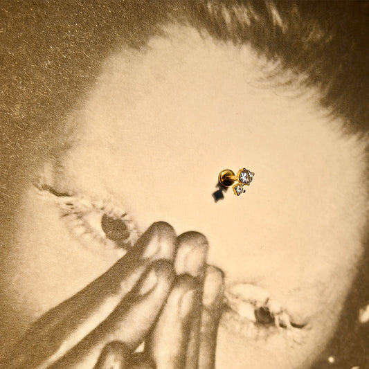 Double Stones Flatback Earring