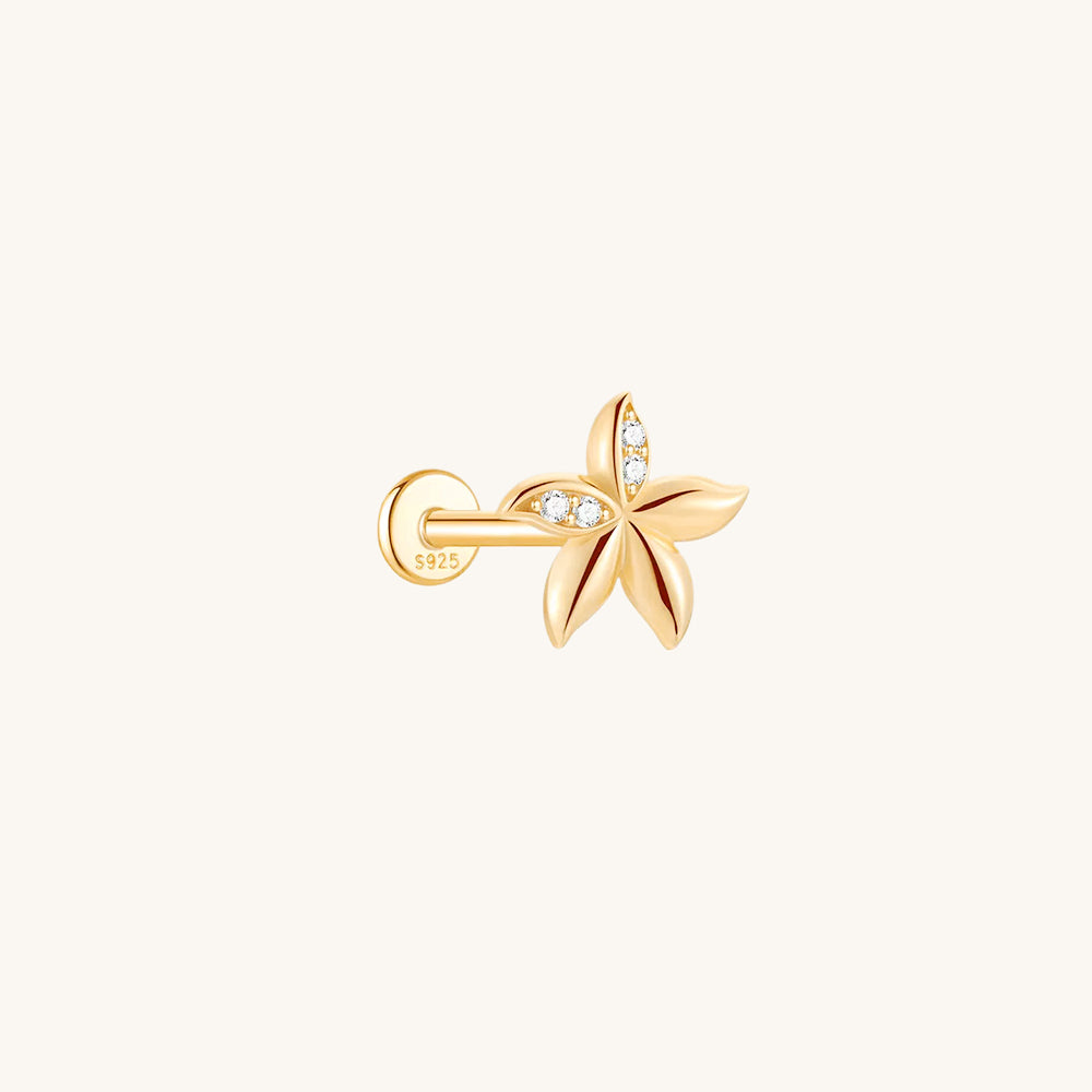 Gold-plated 925 sterling silver Bauhinia Blossom Flatback Earring 8mm