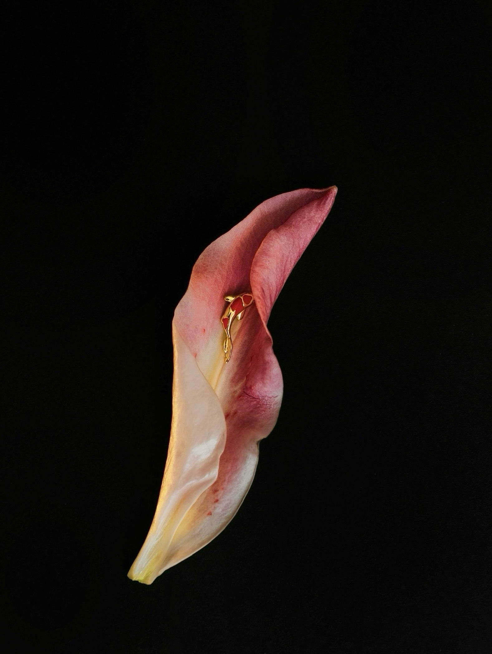 Gold-plated 925 sterling silver Vermilion Koi Flatback Earring