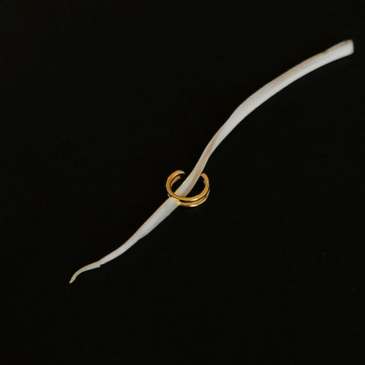 Gold-plated 925 sterling silver Duo-Line Minimalist Ear Cuff