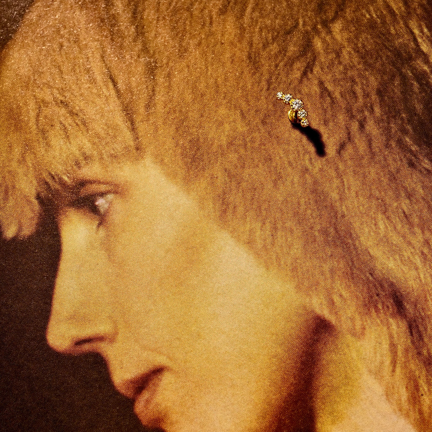 Gardien Curve Bezel Flatback Earring