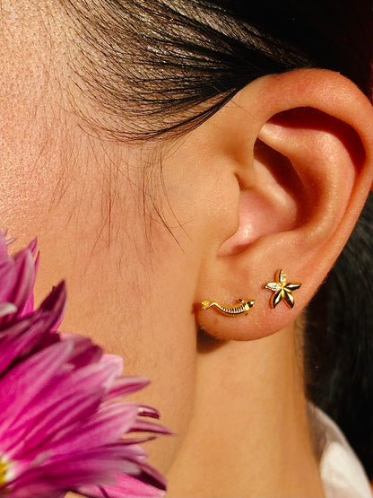 Gold-plated 925 sterling silver Bauhinia Blossom Flatback Earring